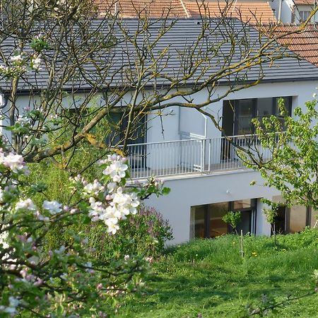 Pod Kralicim Vrchem Apartment Milovice  Bagian luar foto